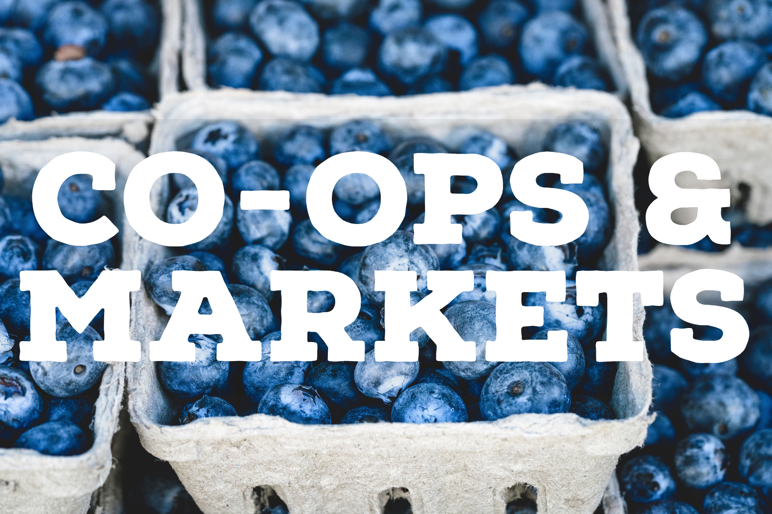 Co-ops, Markets, and Farmers Markets That Build Local Food Systems