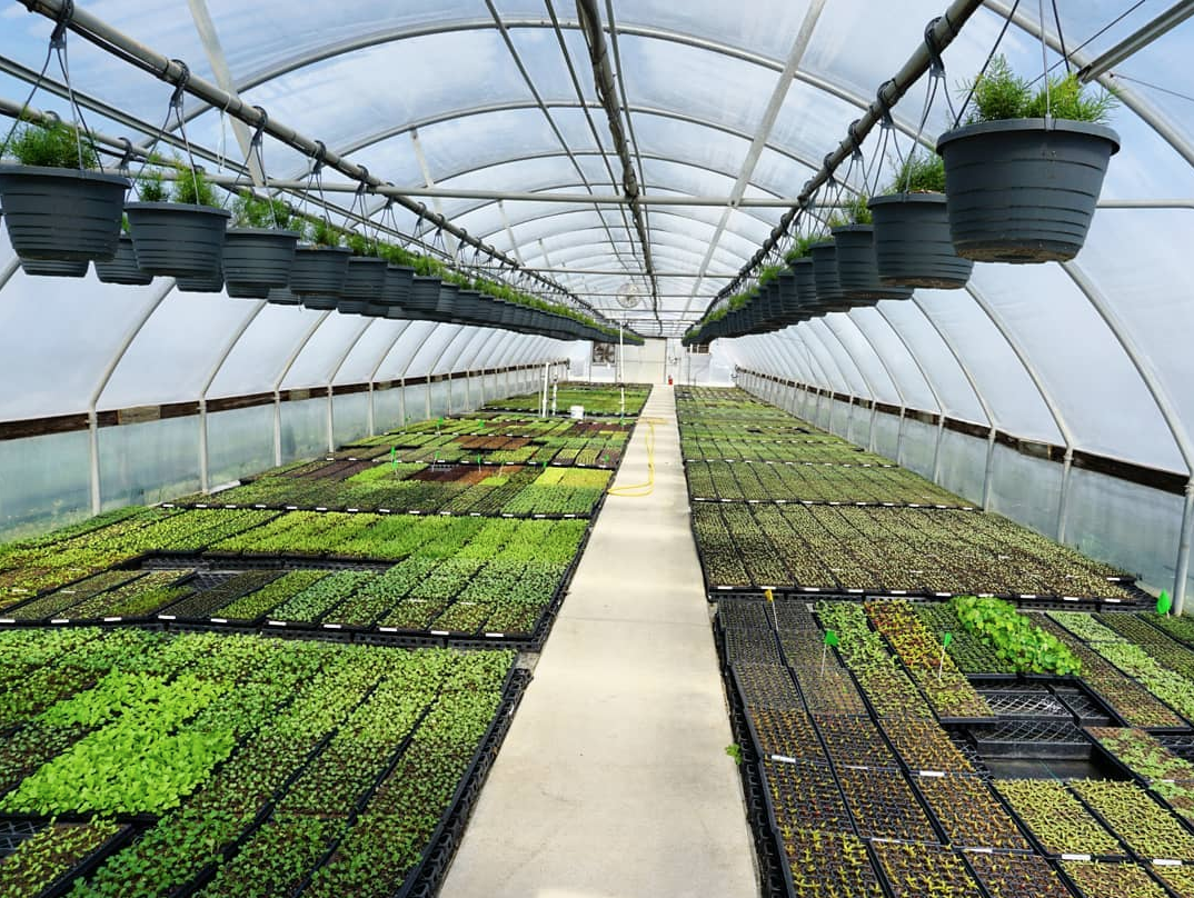 Banner Greenhouses Helps Certified Naturally Grown Grow!
