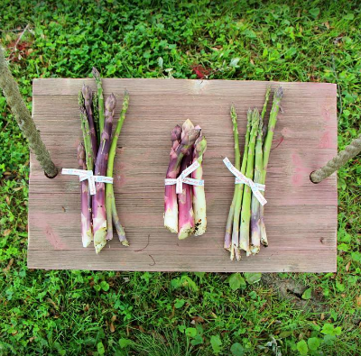 7 Inspiring Ways To Sell Your Produce