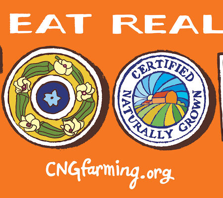Eat Real Food Sticker - Orange