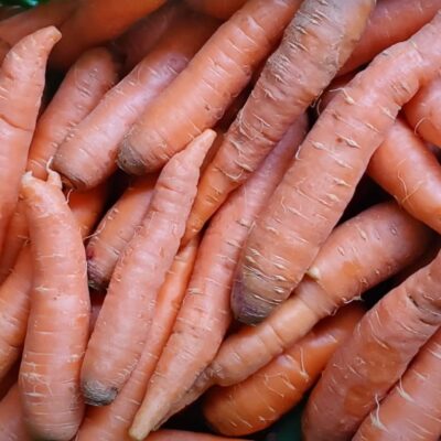 How To Store Carrots Long Term From Kat The Farmer